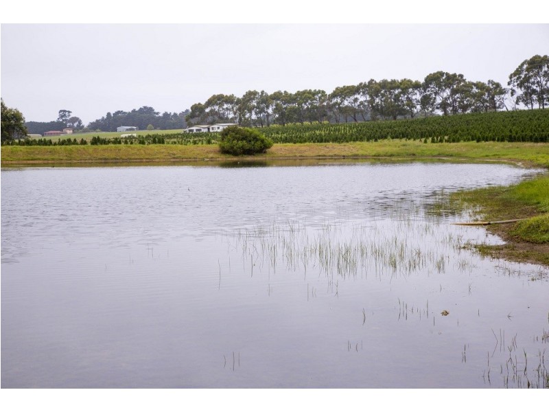 2102 Phillip Island Road, Cowes VIC 3922