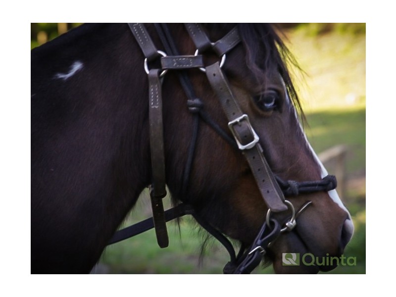 Lot 1 / 9 Edward Street, Wesburn VIC 3799