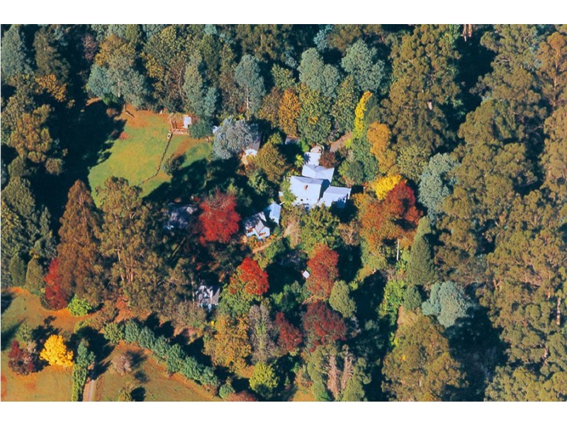 81 The Crescent, Sassafras VIC 3787