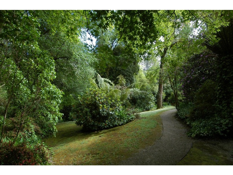 81 The Crescent, Sassafras VIC 3787