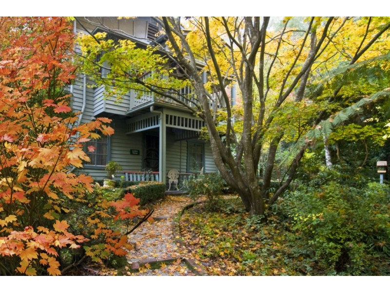 81 The Crescent, Sassafras VIC 3787