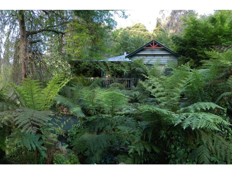 81 The Crescent, Sassafras VIC 3787