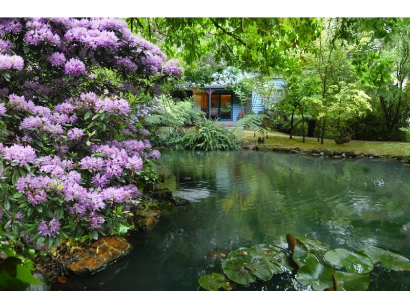 81 The Crescent, Sassafras VIC 3787