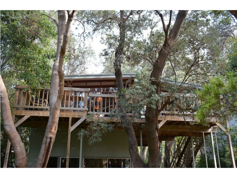 98 Silverleaves Avenue, Silverleaves VIC 3922