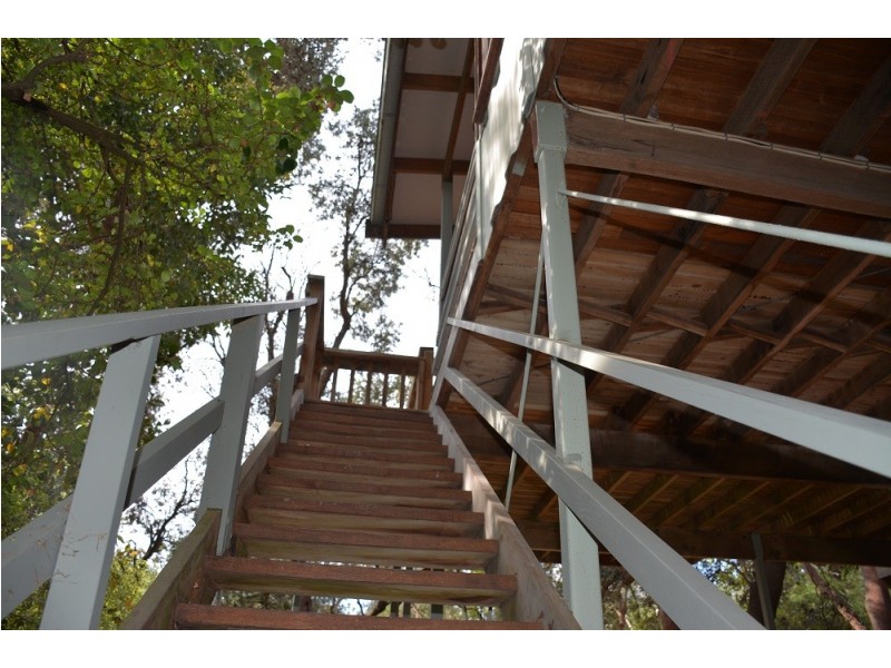 98 Silverleaves Avenue, Silverleaves VIC 3922