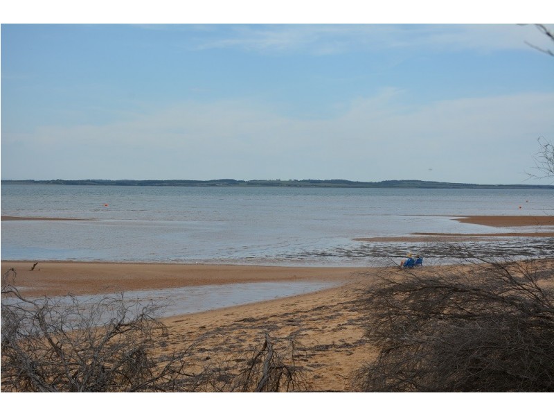 98 Silverleaves Avenue, Silverleaves VIC 3922