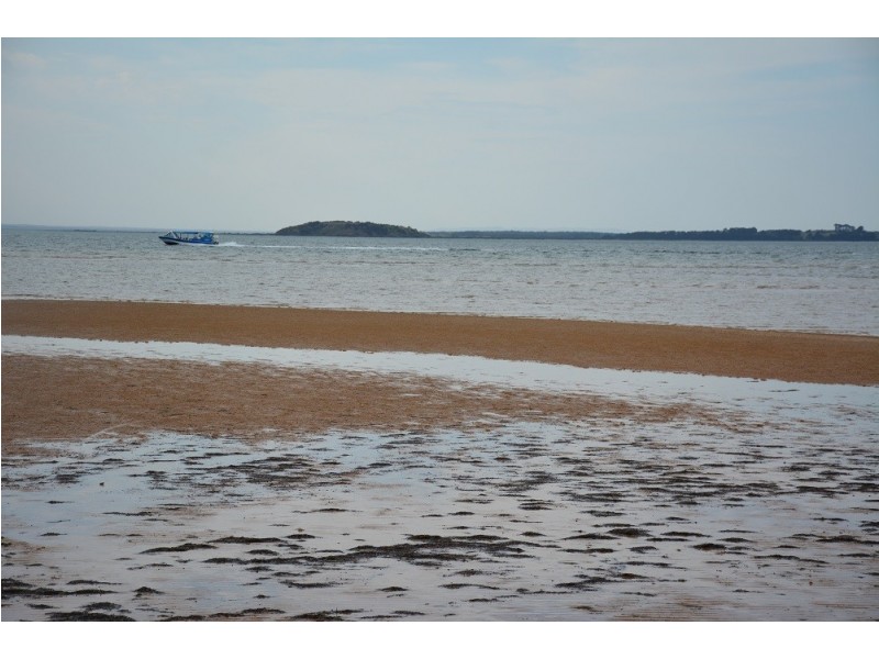 98 Silverleaves Avenue, Silverleaves VIC 3922