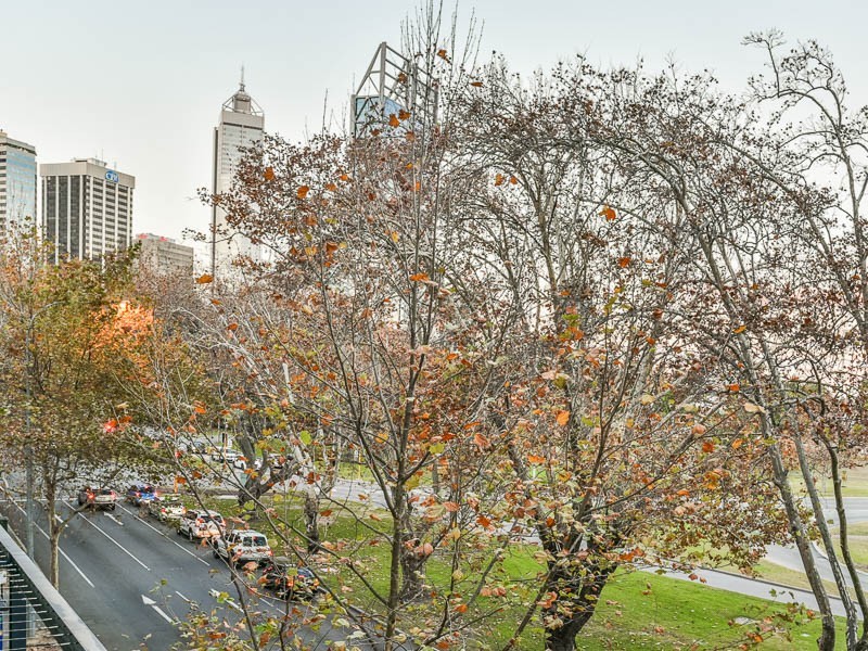 213/126 Mounts Bay Rd, Perth WA 6000