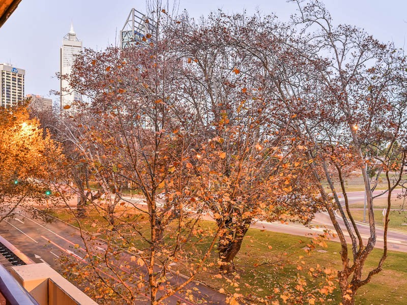 213/126 Mounts Bay Rd, Perth WA 6000