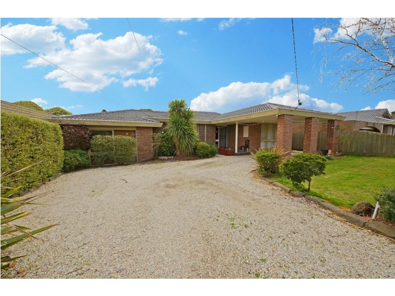 8 Moray Grove, Vermont South VIC 3133