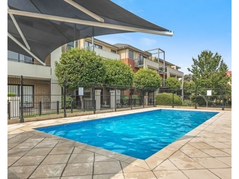 21 Brushbox Court, Clayton VIC 3168