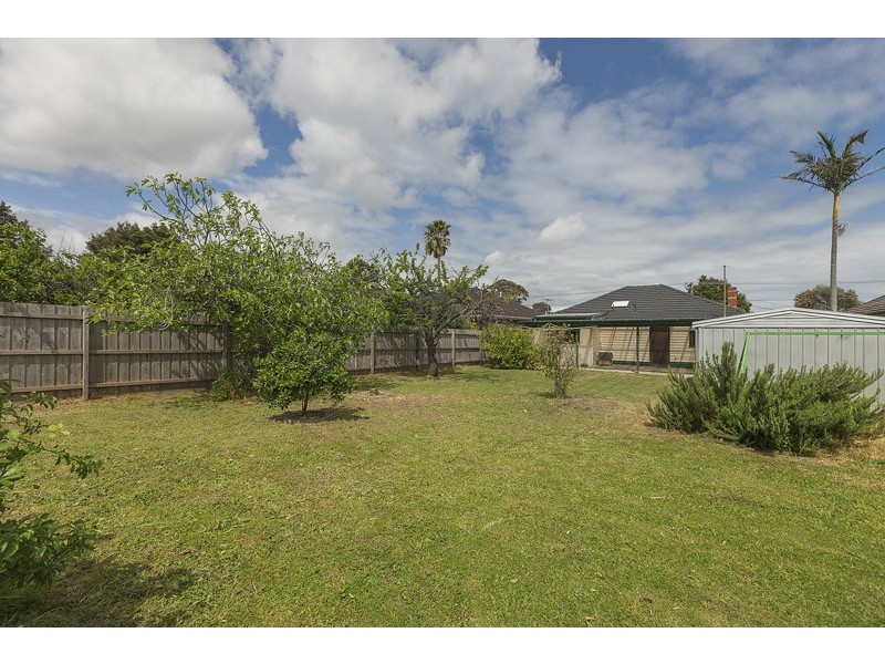 41 Thompson Street, Clayton VIC 3168
