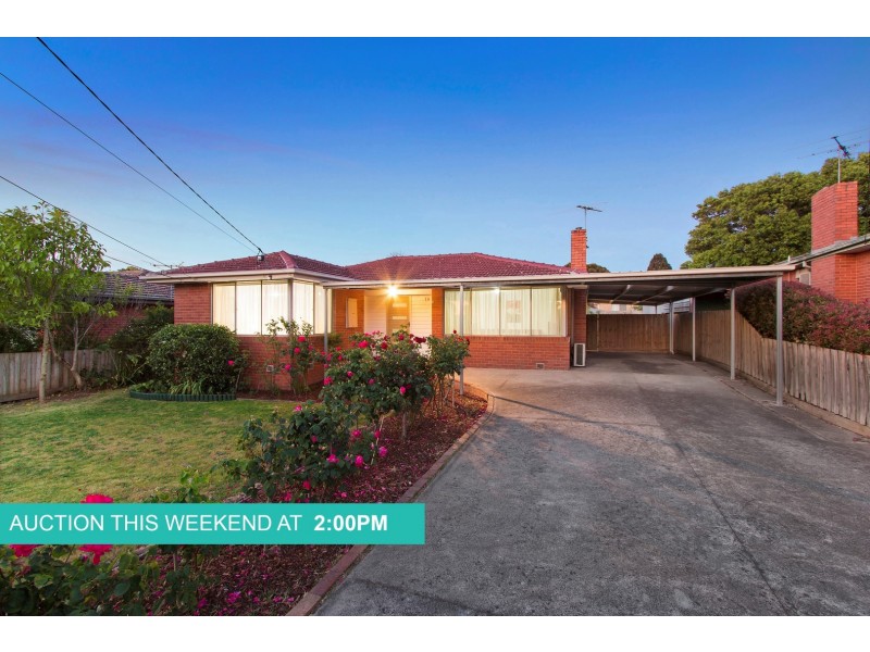 19 Tamala Avenue, Notting Hill VIC 3168
