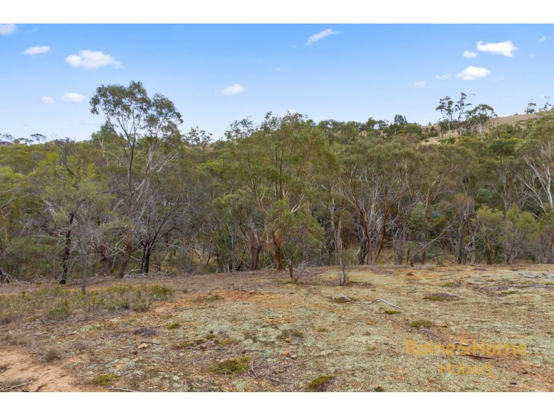 21 DOKDO RISE, Honeywood TAS 7017