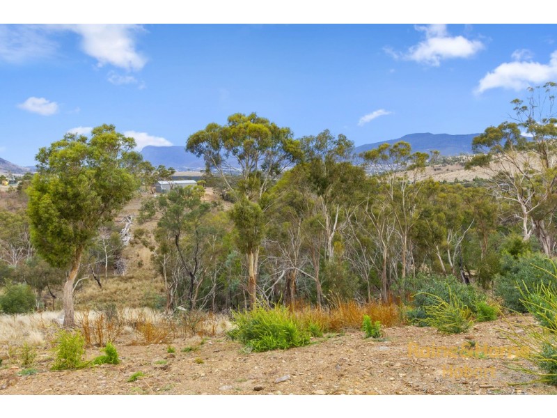 21 DOKDO RISE, Honeywood TAS 7017