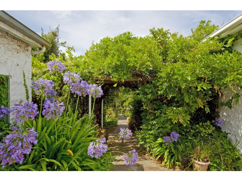 21 Carr Street, North Hobart TAS 7000