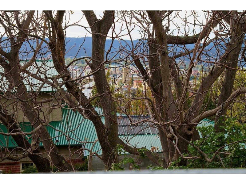 8/20 Pine Street, West Hobart TAS 7000