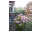 6 Edge Avenue, Lenah Valley TAS 7008