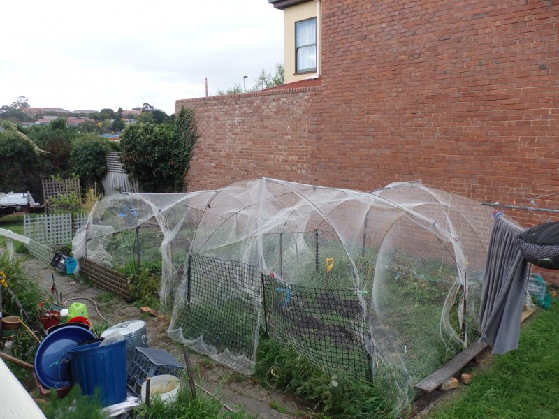 1/28 Gregory Street, Sandy Bay TAS 7005