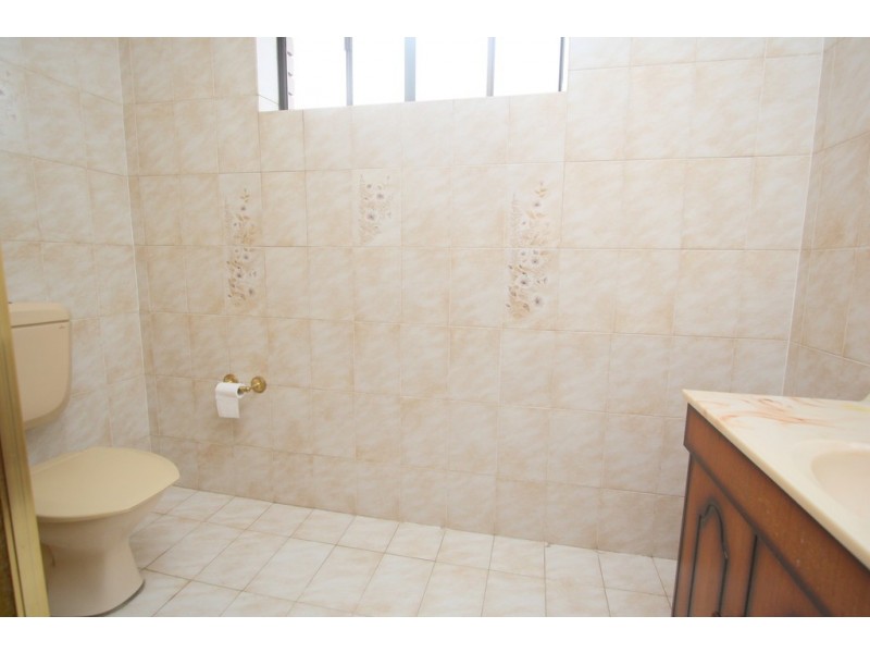 22 Leonard Street, Bankstown NSW 2200