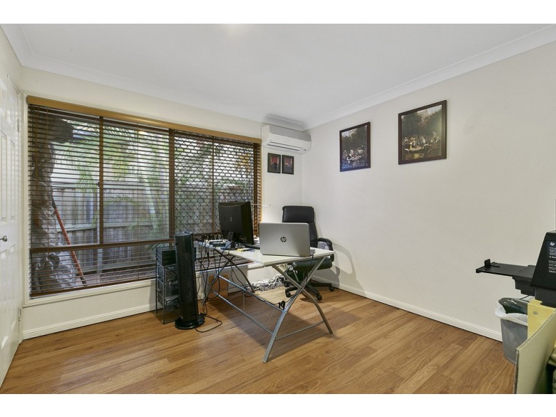 14 Ribonwood Street, Thornlands QLD 4164