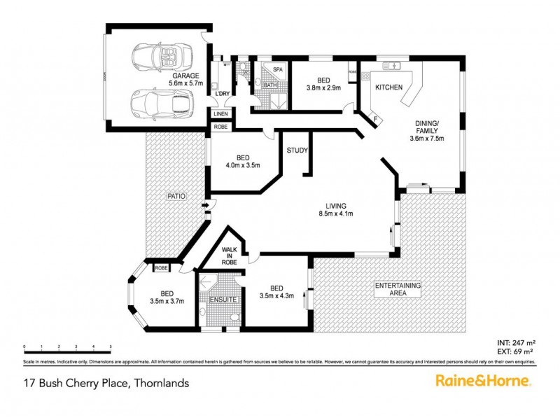 17 Bush Cherry Place, Thornlands QLD 4164 Floorplan