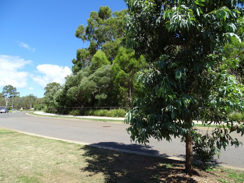 16 Sandalwood Street, Thornlands QLD 4164