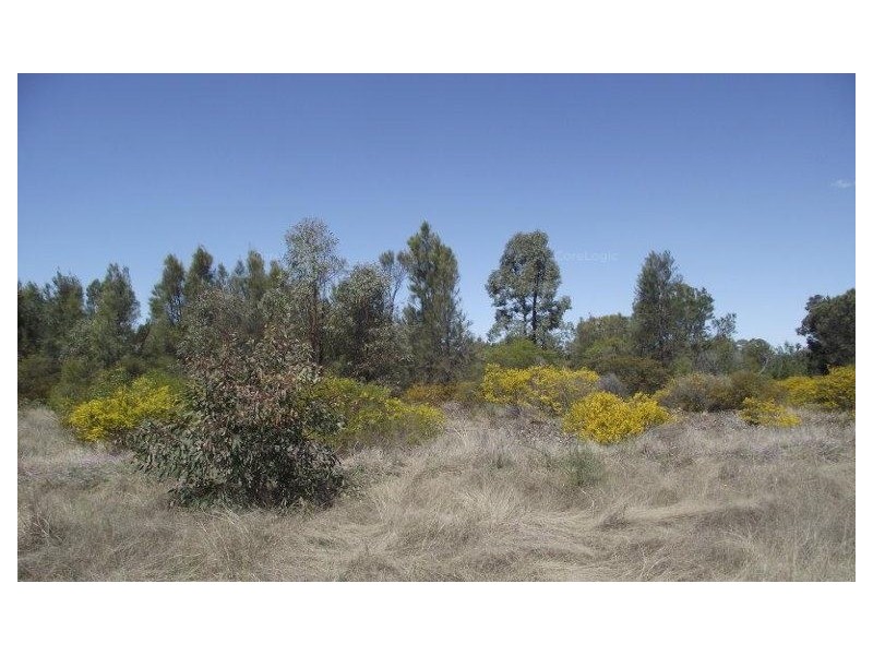 Tara QLD 4421