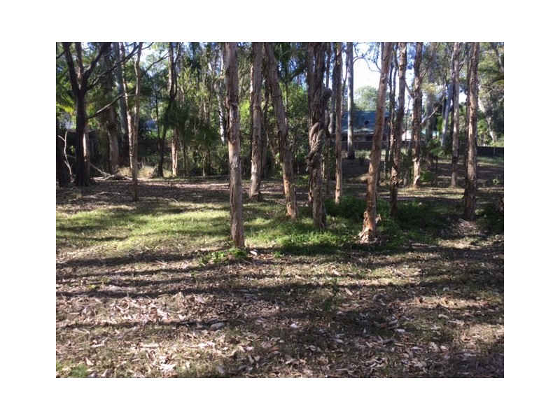 41 Pear Street, Redland Bay QLD 4165