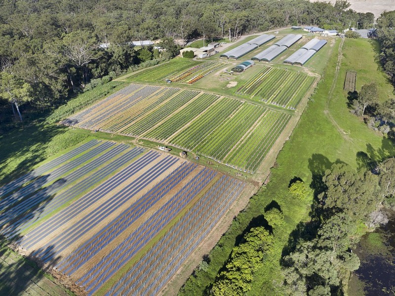 562 German Church Road, Redland Bay QLD 4165