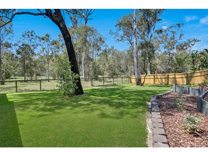 14 Mecoli Court, Birkdale QLD 4159