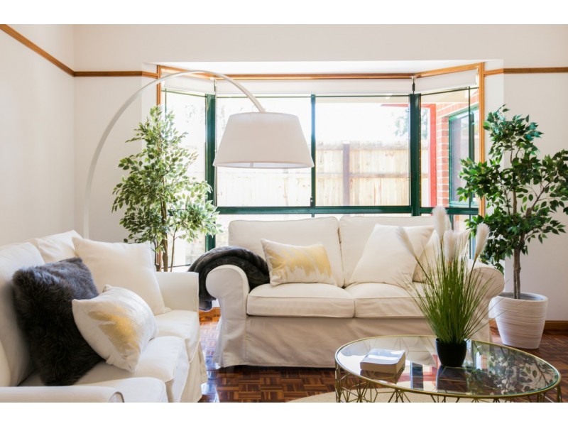 14 Mecoli Court, Birkdale QLD 4159