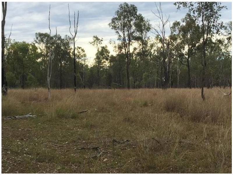 Kingaroy QLD 4610