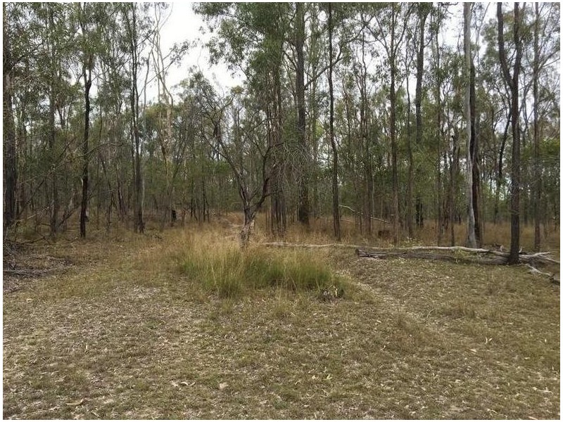 Kingaroy QLD 4610