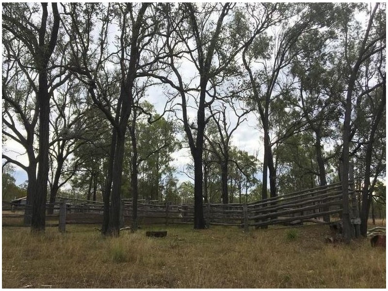 Kingaroy QLD 4610