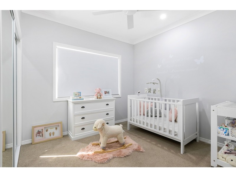 15 Russell Street, Cleveland QLD 4163