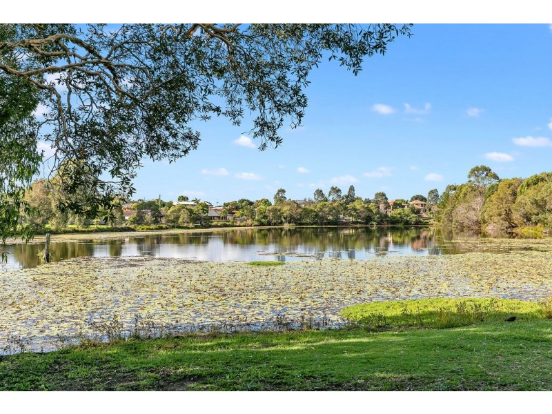 18 Shiraz Street, Thornlands QLD 4164