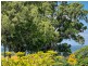 16 STURGEON STREET, Ormiston QLD 4160