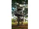91-99 Springacre Road, Thornlands QLD 4164