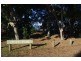 303 Esplanade, Redland Bay QLD 4165