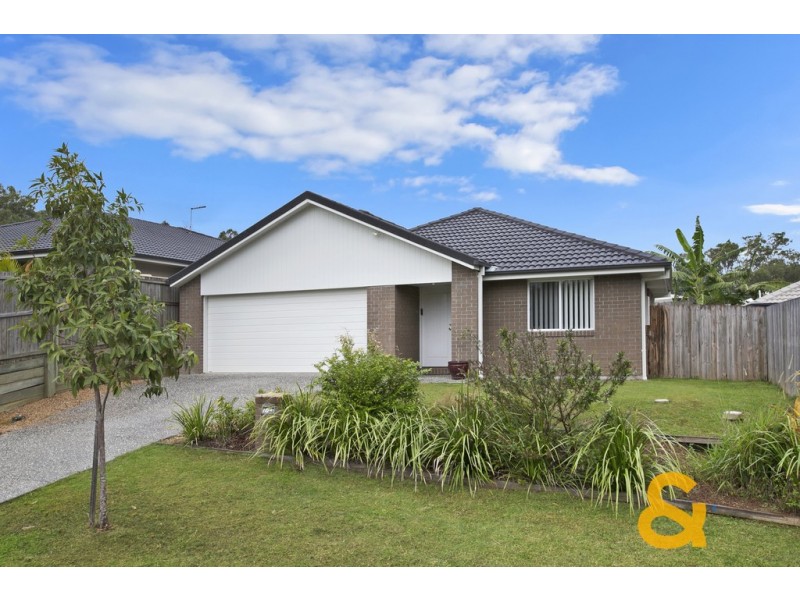 19 Riley Peter Place, Cleveland QLD 4163
