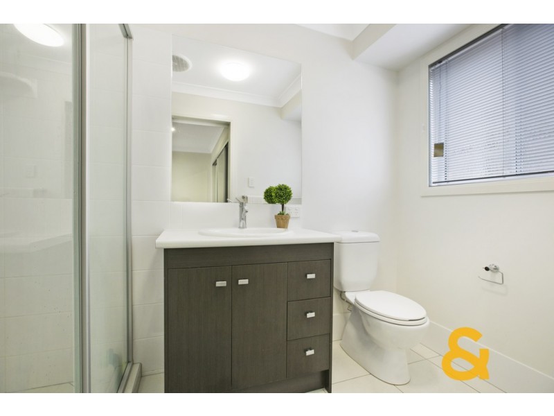 19 Riley Peter Place, Cleveland QLD 4163
