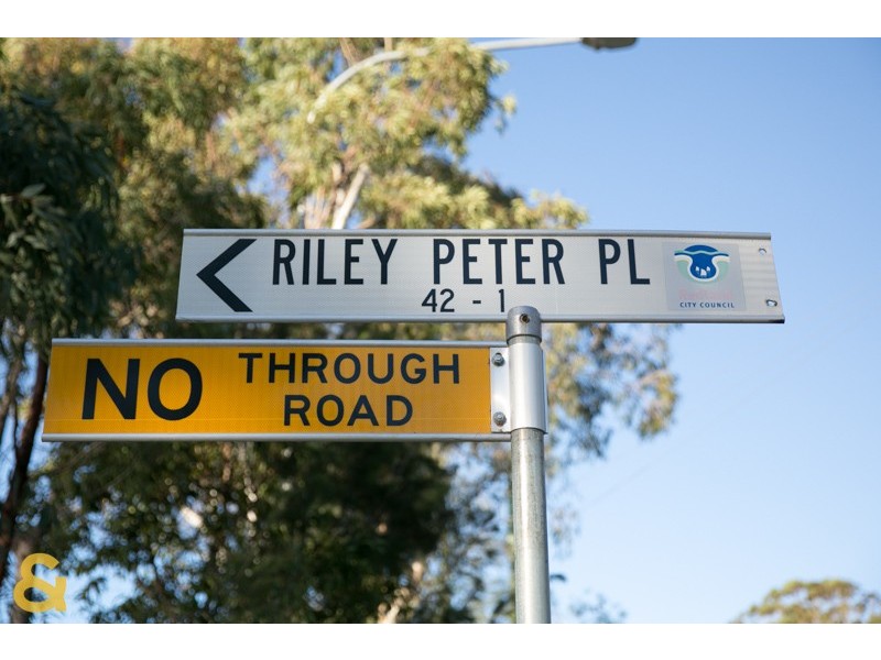 5 Riley Peter Place, Cleveland QLD 4163