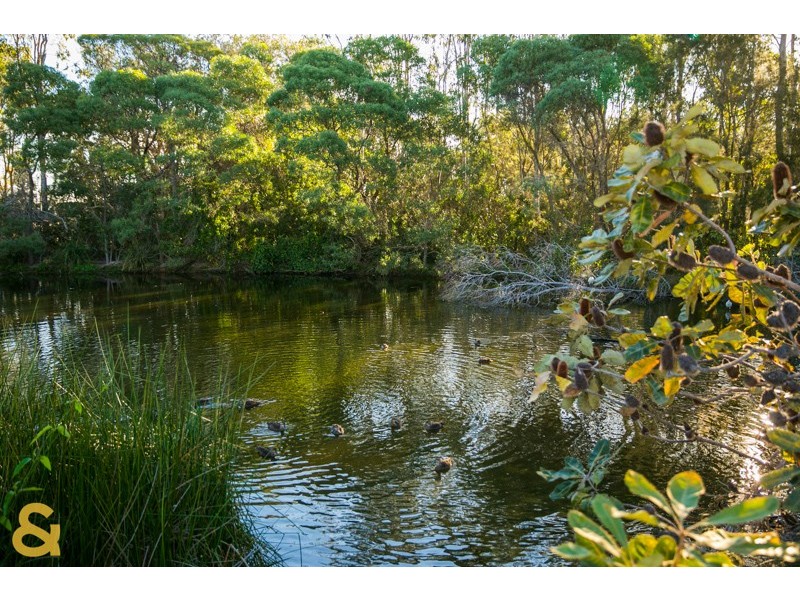 3 Janine Place, Birkdale QLD 4159