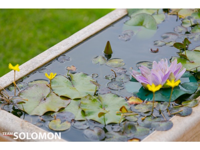 7 Trio Street, Cleveland QLD 4163