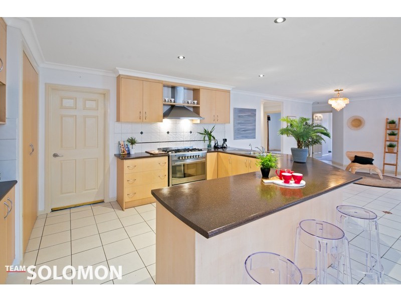 21 Adam Street, Cleveland QLD 4163