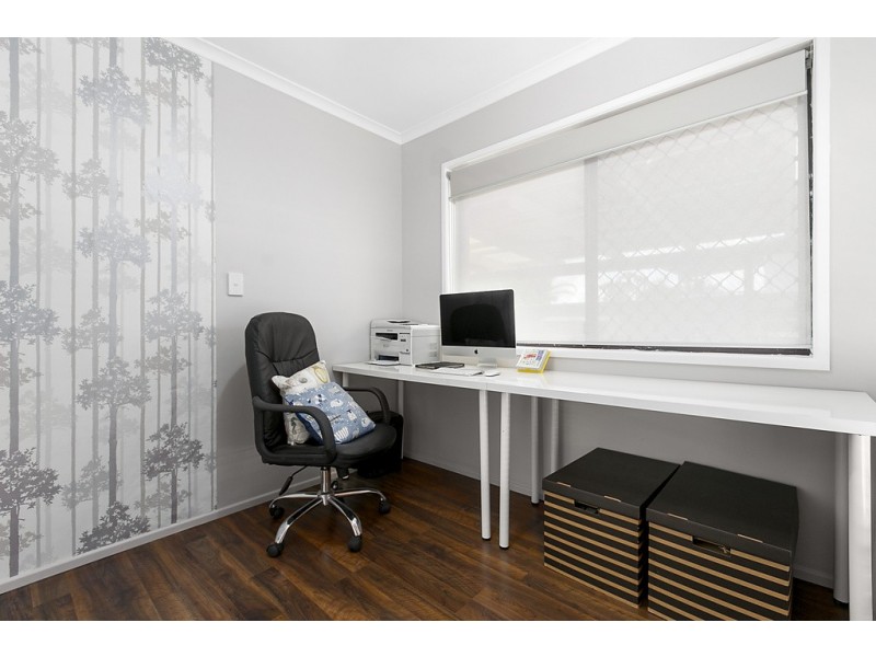 17 Marina Street, Alexandra Hills QLD 4161