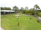 747 New Cleveland Rd, Gumdale QLD 4154