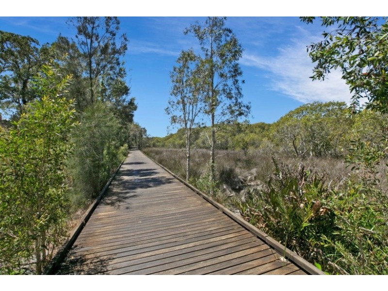 19 Beddoe Street, Thornlands QLD 4164