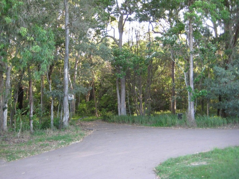 5 Cyan Place, Redland Bay QLD 4165